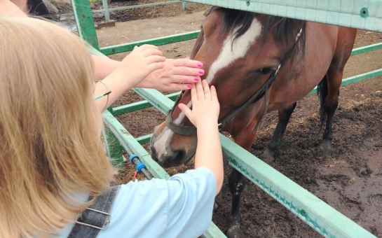 Родители едва сдерживают слезы: российские и израильские врачи решают судьбу восьмилетней девочки из Сызрани