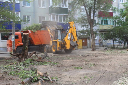Обещают комфорт и уют: в военном городке Сызрани рубят деревья, щепки летят