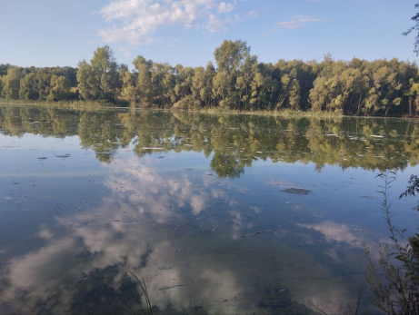 Идем на рыбалку - берем противогаз! Рыбаки наблюдают на Усе явление, которое вызывает тревогу