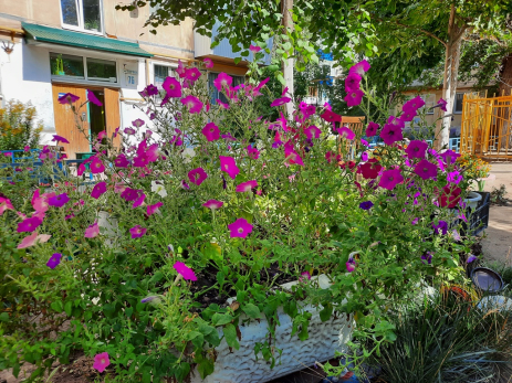 Народные приметы на 10 августа: почему в Прохоров день закрывали все рынки - повод был серьезный