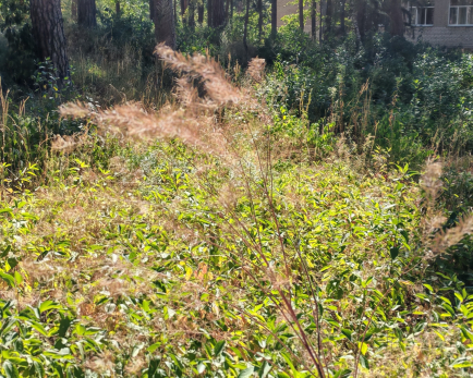 Народные приметы на 15 августа: почему нельзя ходить по мокрому полу и как на год избавиться от болезней