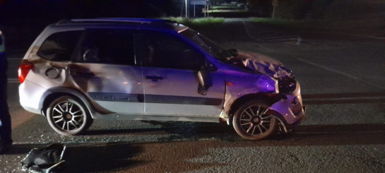 На трассе в Самарской области водитель в темноте врезался в корову