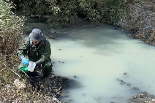Разлагаются трупы и пируют черви: стало известно, чем отравили позеленевшую реку в Самарской области