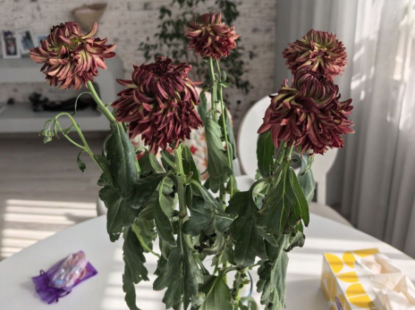 Жителей Сызрани перестали радовать букеты из местного магазина - люди негодуют от уловок флористов