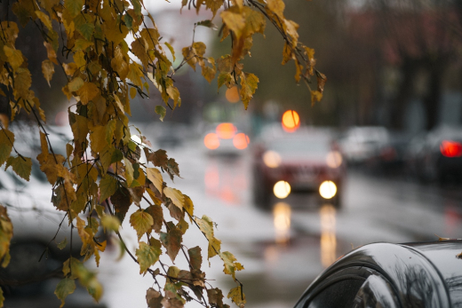 Лето напоследок громко хлопнет дверью: будет жарко, а потом стремительно наступит осень