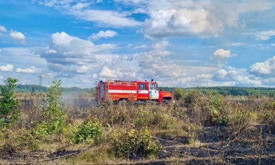 В Самарской области ликвидировали крупный пожар на площади 50 гектаров