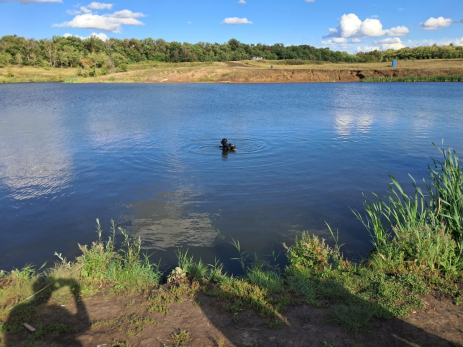 На дне озера в Самарской области обнаружили машину с покойником в салоне - фото