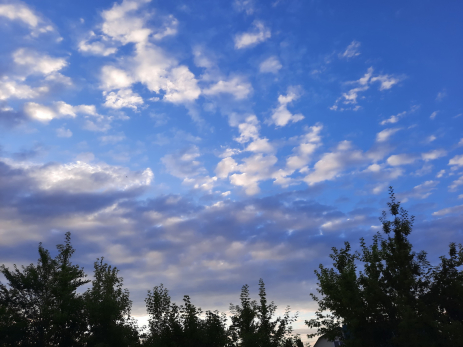 В финале лета погода в Самарской области будет на любой вкус