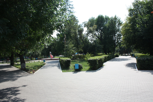 В Сызрани готовы заплатить 394 тысячи желающим прибраться в детском парке