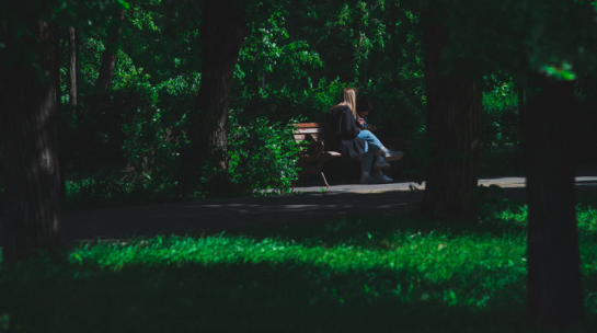 Власти готовят самый мощный удар по курящим: мнение меньшинства в расчет не возьмут