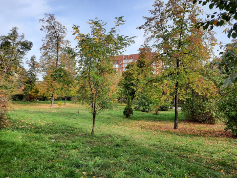 Народные приметы на 29 августа: кому в Ореховый Спас вода принесет большие деньги, а кого ждут 33 несчастья