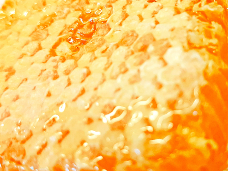 Это неправильный мед: Роскачество назвало марки меда, которые лучше оставить на прилавке