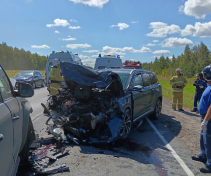 Под Сызранью дети и взрослые покалечились в китайском автомобиле