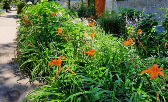 Будет ли новая эпидемия? Роспотребнадзор подтвердил факт экзотического заболевания в стране