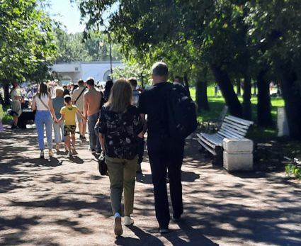 Все яйца в одной корзине: паспорт, СНИЛС и права станут одним документом