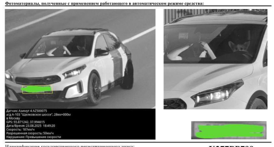 Корги за рулем авто разогнался до 187 километров при разрешенных 50