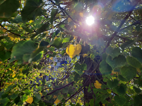 День прощанья: народные приметы на 3 сентября – бесы, запрет на стрижку и костры рябин