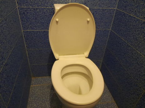 Жителя Сызрани отдали под суд после проверки туалета в квартире