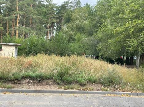 И не подумаешь, что за этими кустами есть детский сад - в мэрии Сызрани отреагировали на сигнал