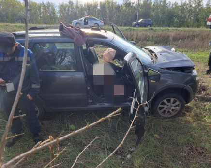 В Самарской области в дерево врезалась машина с мертвым водителем