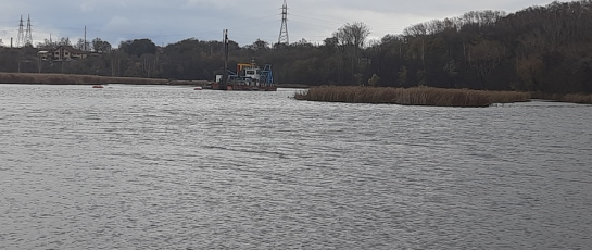 Для жителей - рай, для рыбаков Сызрани - раздолье: власти пообещали, что докопаются до самого дна