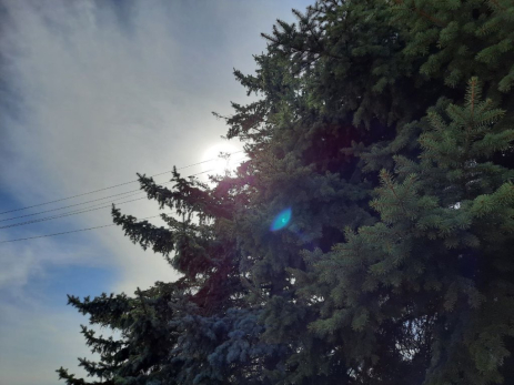 Температура воздуха в Самарской области упадет до минус 2 градусов