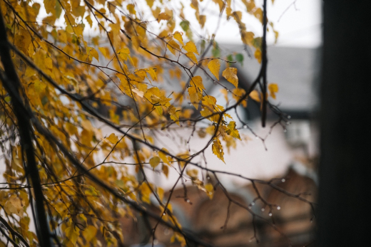 22 сентября - День осеннего равноденствия: эликсир красоты, главный оберег и что нельзя делать в дату, когда день равен ночи