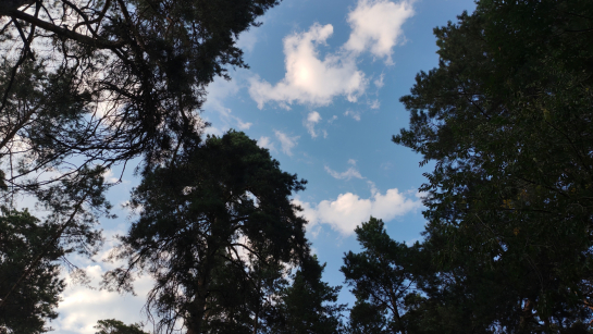 Народные приметы на 17 сентября: почему нельзя в этот день одалживать деньги и что будет тому, кто наденет темную одежду