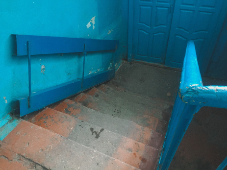 Переполох в сызранской многоэтажке: змея заползла в дом и перепугала жильцов