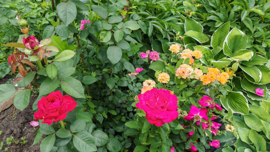 Власти выложили в соцсети грозное предупреждение жителям Октябрьска