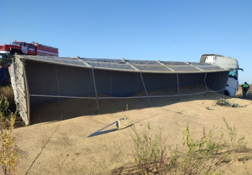 Загадываем желание: в Самарской области дальнобойщик рассыпал тонны зерна по обочине