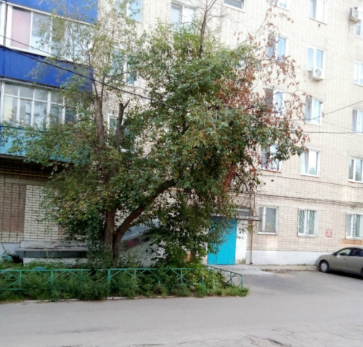 Жильцы сызранской многоэтажки боятся трагедии из-за происходящего во дворе