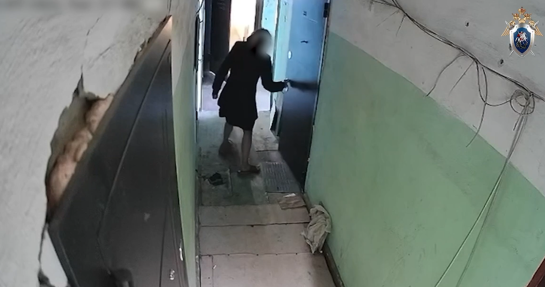 «Не ори!»: женщина заживо сожгла соседку из-за собаки - все попало на видео