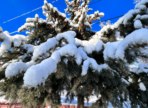 Вильфанд обескуражил своим прогнозом: часть страны уже в сугробах
