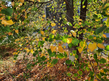 27 сентября - Воздвижение Креста Господня: кому в этот день простятся семь смертных грехов, а кому беда постучит в ворота