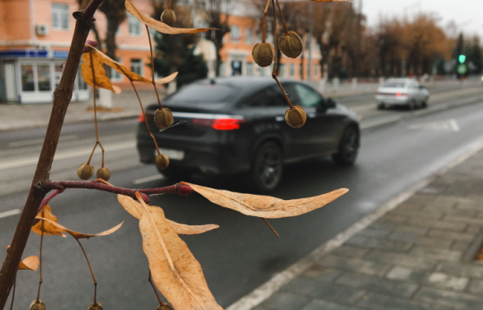 Сызрань и малые города очистят от услуг раздолжнителей: в Генпрокуратуре озаботились проблемой