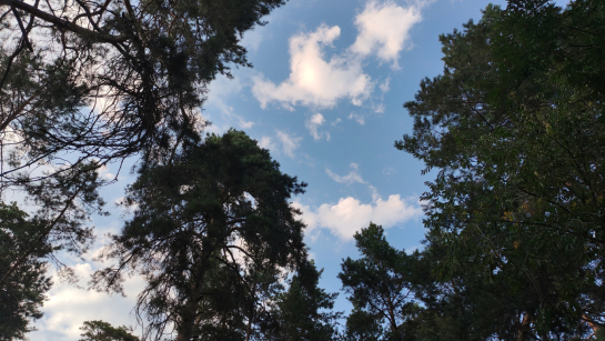 Народные приметы на 1 октября: как легко узнать свое будущее и у кого в жизни начнется черная полоса