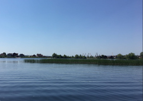 Ловись рыбка, большая и маленькая: лунный календарь для рыбаков на октябрь