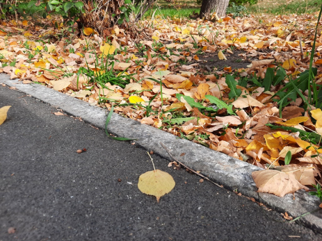 Народные приметы на 3 октября: кому этот день несет удачу и здоровье, а кому страшная беда перевернет жизнь