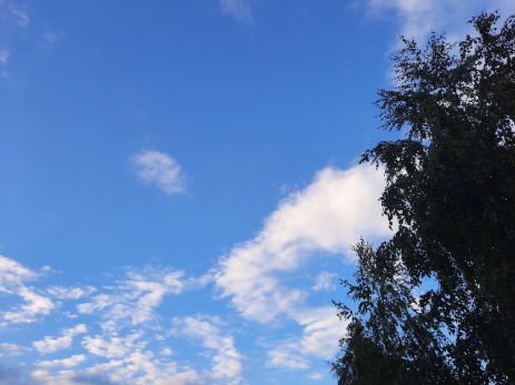 Какая осень, такое и «Бабье лето»: Вильфанд назвал регионы, где будет тепло даже в конце октября