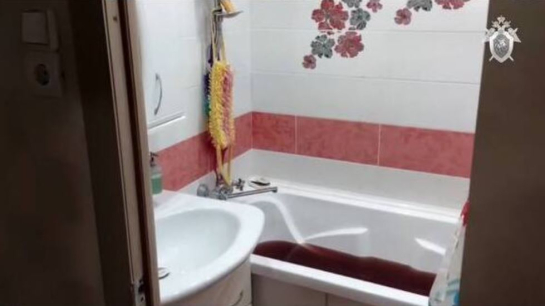 Муж рассказал, как резал ножом свою жену и маленьких дочерей: признание шокирует