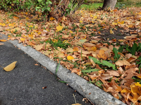 Народные приметы на 7 октября: почему нельзя запирать дверь снаружи и нарушение какого запрета сулит финансовые трудности