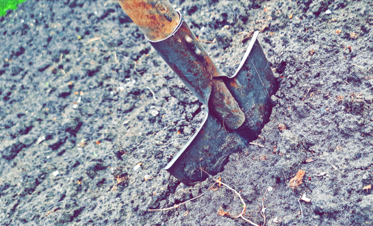 Опять копать: дачникам наконец-то объяснили, перекапывать осенью огород или нет