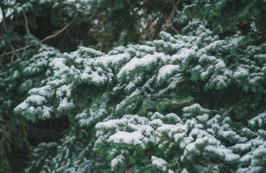 Народные приметы на 14 октября: кого Богородица одарит счастьем, а кого ждет три года одиночества - главные запреты на Покров