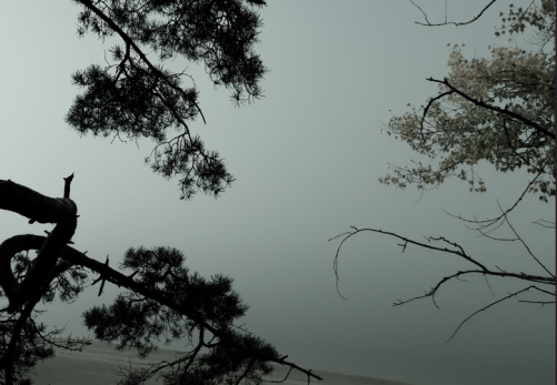 Основное правило - минимизировать контакт: до пятницы Сызрань будет в особой зоне