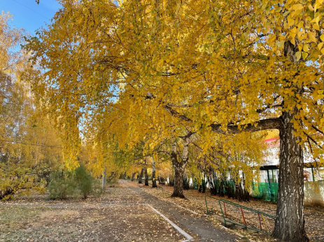 Чуда-средства нет! Какие продукты спасут от осенней хандры и болезней