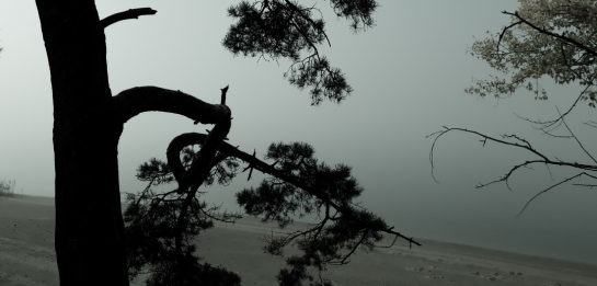 Ближе к вечеру на дорогах Самарской области станет еще хуже