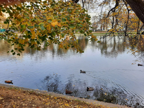 Народные приметы на 18 октября: кто попадет под денежный дождь и что нельзя делать после захода солнца - иначе беда