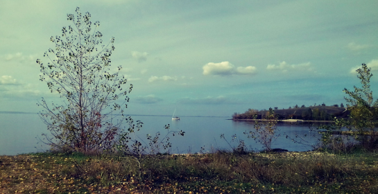 Синоптики рассказали, когда на Волге около Сызрани встанет лед