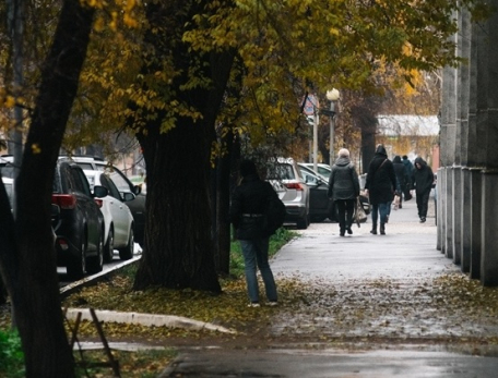 Заявления принимают до 1 декабря: кому заплатят по пять тысяч рублей